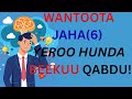 Wantoota Jaha 6 Yeroo Hunda Beekuu Qabdu Fi Gonkumaa Namaaf Himuu Hin Qabne Hawwineettube Wantoota Jaha 6 Yeroo Hunda Beekuu Qabdu Fi Gonkumaa Namaaf Himuu Hin Qabne Hawwineettube