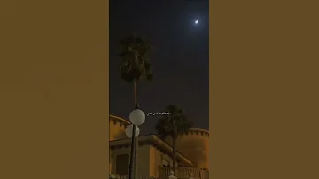 اليسا ارسمني في ليلك نجمه بدون موسيقى 