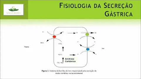 Como agem os antiácidos no estômago?