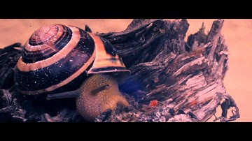 Gleam EP by Alchem [Official Promo]