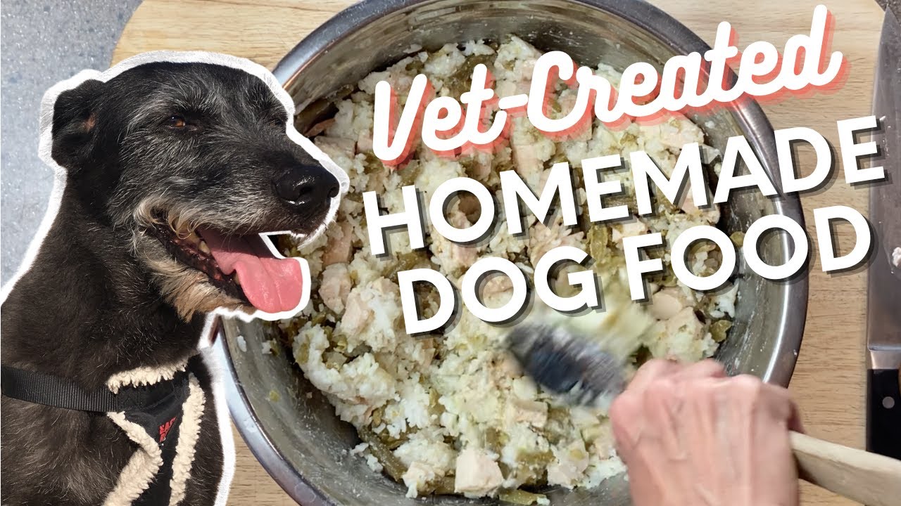 (What the Vet's Dogs Eat) Easy Homemade Food for Senior Dogs