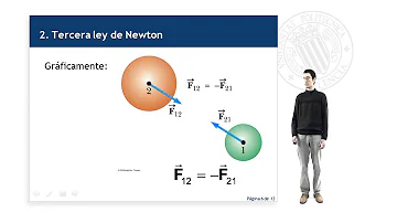 ¿Qué quiere decir que las fuerzas de acción y reacción tienen sentido opuesto e igual magnitud?