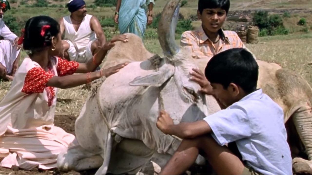 चितंग्या उठत नाही म्हणून टिंग्या झाला भावुक - Emotional Scene - Tingya Marathi Movie