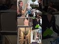уютные влоги про жизнь медицинского биолога в Берлине - заглядывай ко мне на канал 🤍🤗 #lifestyle