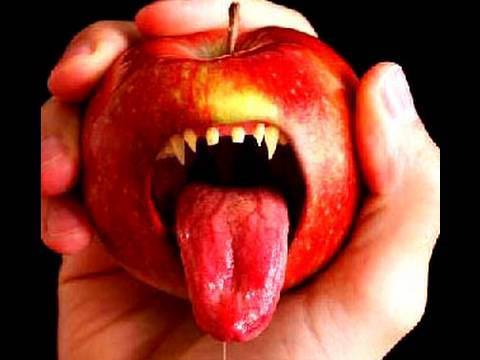 Brush your TEETH with an APPLE?! (Day 168- 12.26.09)