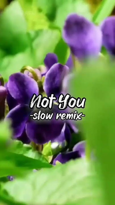 NOT YOU DJ SLOW REMIX 2023#notyou#djslowremixfullbass#breakbeat#fyp#remix#djtiktokviral#shorts#short