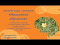 Обучение с подкреплением Q-learning, Policy Gradient (Reinforce), Actor-Critic Практика на gym