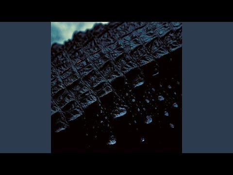 Wage War - Song Of The Swamp