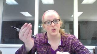 Celebrity Tutoring -- Acct. 1 Chapter 11 Stock and Dividends Problem Wealth