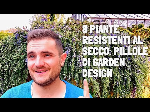 Video: Piante e gelo: utilizzo di piante resistenti al gelo in giardino