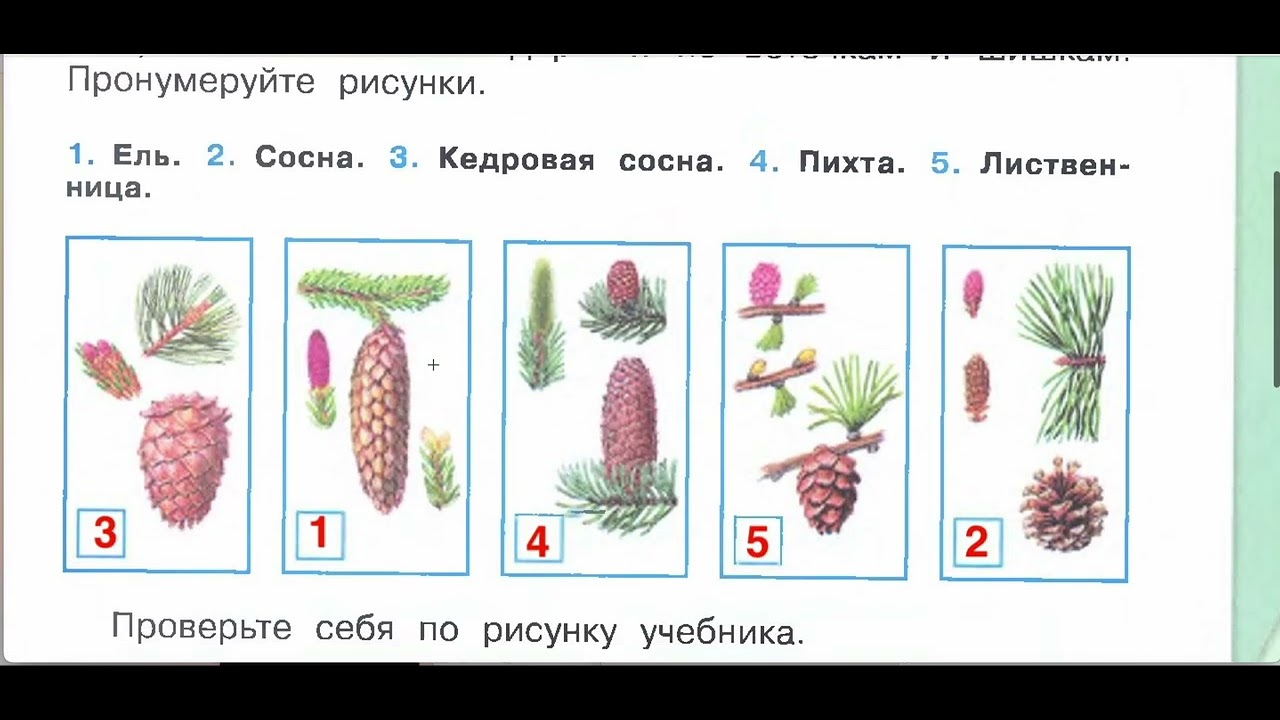 Впрочем по окружающему миру 4 класс