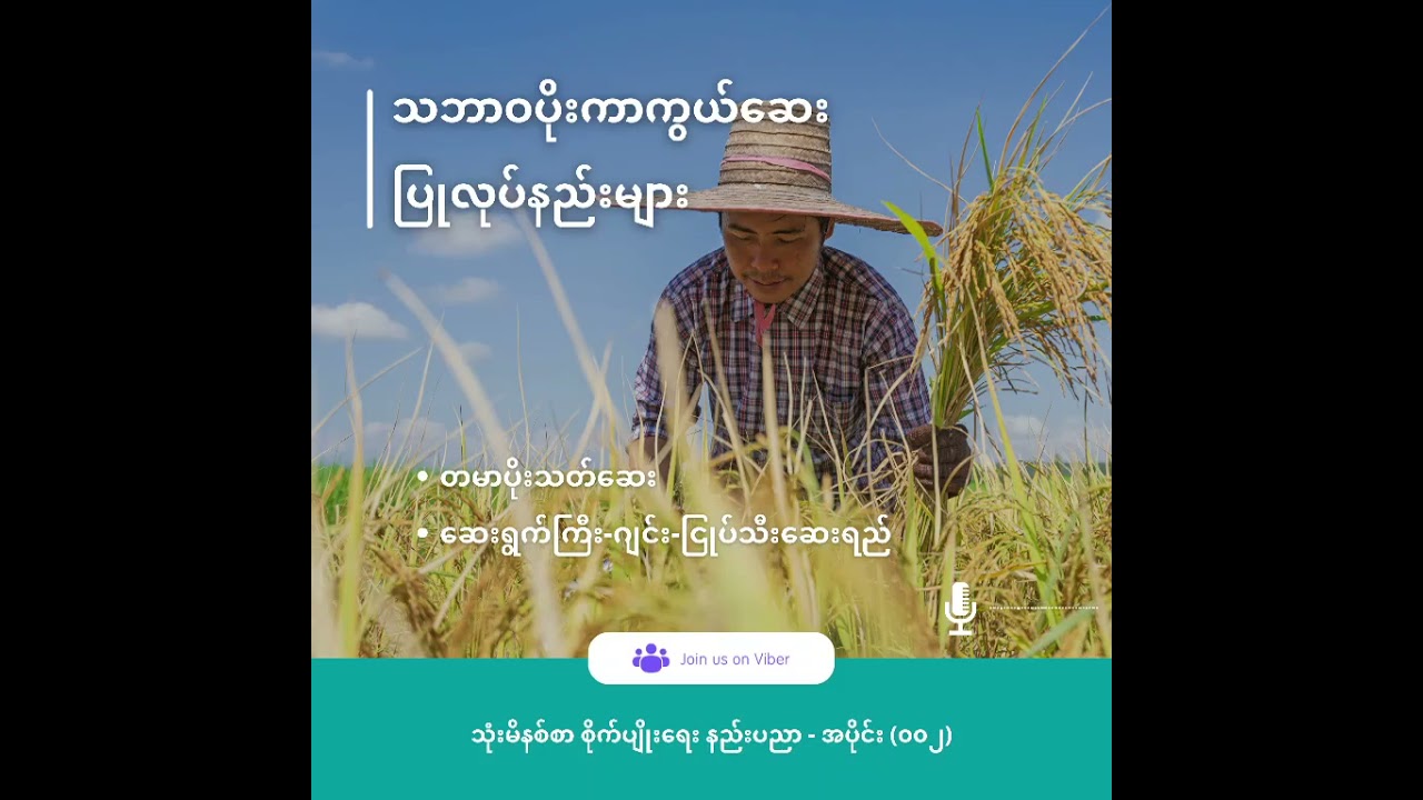 သဘာဝပိုးကာကွယ်ဆေး ပြုလုပ်နည်းများ