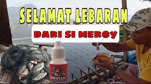 MANCING DI WADUK JATILUHUR bareng si meroy- mancing setengah hari full strike