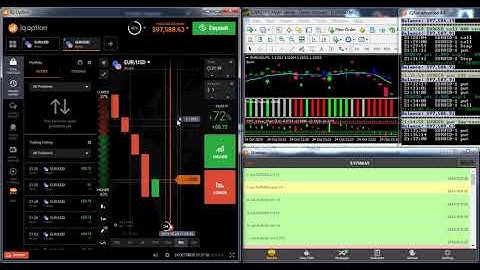 iQBot binary options 1 hour example autotrading iqoption