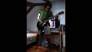 Melvins - Timothy Leary lives * guitar cover