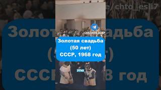 Удивительное празднование свадьбы, 1968 год #ретро #винтаж #история #свадьба