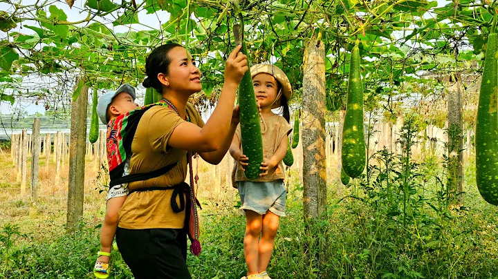 Single Mother - Familiar Work in the Hot Summer Days/Daily Life - DayDayNews