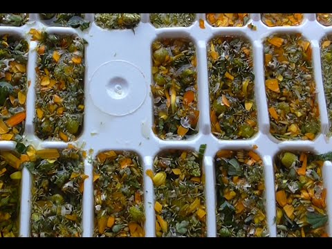 Ледяной рецепт: фаршированный баклажан
