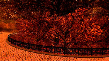 Autumn Nature Park - Tutorial video demo