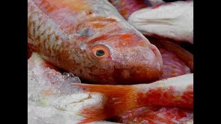 How to Prepare /Fillet  Whole Fresh RED MULLET Fish for Sushi !!
