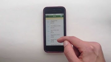 Mobile Storm POS Customer App: How to view Item Detail