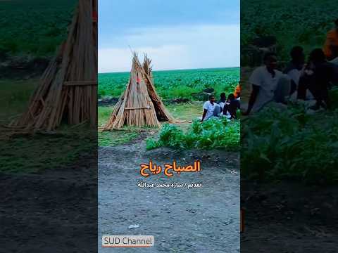 جديد الصباح رباح سارة محمد عبدالله السودان