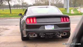 Different HiPo Mustang Model Spied?