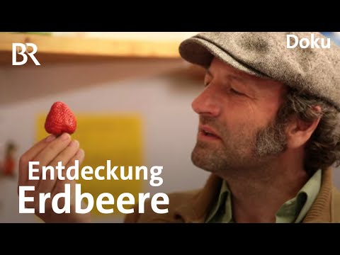 Video: Erdbeeren In Der Heimkosmetik