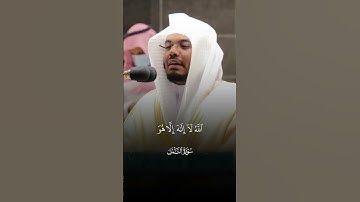 #ياسر_الدوسري #سورة_النمل #قرآن #القرآن_الكريم #تلاوة_خاشعة
