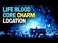 Hollow Knight-  Blue Door in the Abyss: Lifeblood Core Charm Location