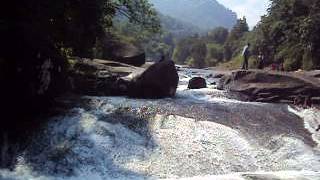 MOV06499