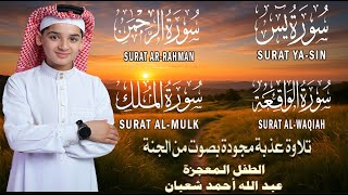 قرآن المساء || سورة يس، الرحمن، الواقعة، الملك | 🌹💚من أجمل وأروع تلاوات القارئ عبدالله احمد شعبان