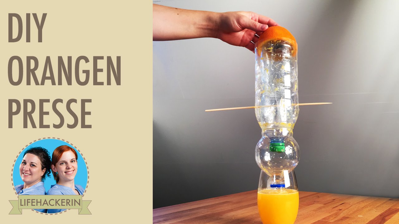 Orangen frisch pressen