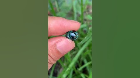 Giao lưu mặt saphire xanh chất đẹp sáng #gem #love #ruby #daquy