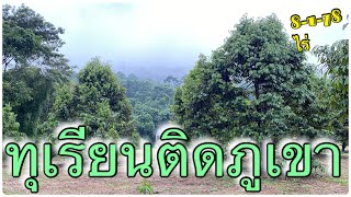 LDC-00131 #ขายสวนทุเรียน"ติดเขา🏔🔅🏌️‍♂️ 8-1-78 ไร่🌿อากาศดีมากๆ ต.ซึ้ง อ.ขลุง จันทบุรี #เล่นที่ดิน