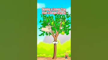 The SECRET to Cloning a Lemon Tree from a Single Branch🍋 #lemon #animation