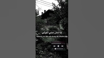 حالات دينيه//تلاوة هادئة//القرآن الكريم//القارئ عبيدة موفق