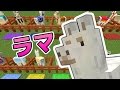 【印刷可能】 マインクラフト　ラマ 290515-マインクラフト ラマ チェスト