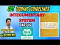Integumentary CPT Coding Solved: 10,000 Series Codes Surgical AAPC CPC MCQs
