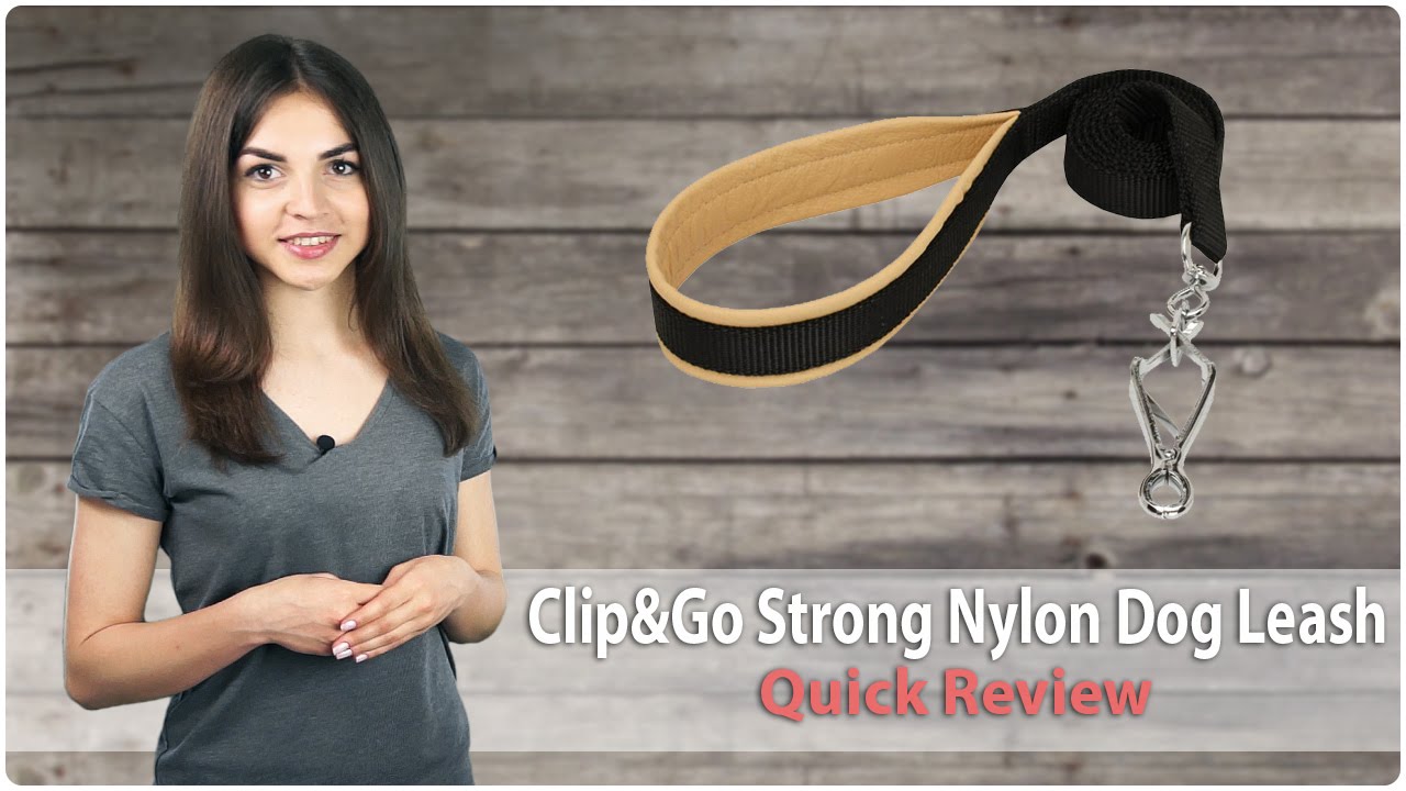Clip&Go All Weather Nylon Dog Leash - Quick Review