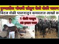 पुण्यातील नोकरी सोडून केले शेळीपालन बीटल शेळी पालन  | goat farming |bakri paln| sheli paln |