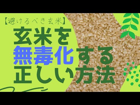 【避けるべき玄米】玄米を無毒化する正しい方法