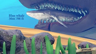 Largest Sea Creatures Size Comparison | Fish Size Comparison | (3D animation) #animation