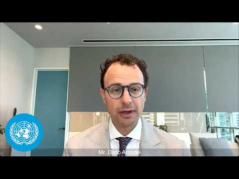 AI: Managing risks has global scale - Anthropic Briefing | United Nations