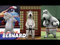 Бернар Медведь | Обучение боевым искусствам | Мультфильмы для детей | Полные серии