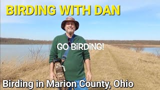 Birding with Dan 