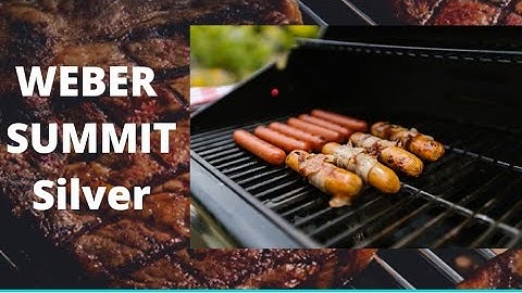 Repairing a 2006 Weber Summit Silver Edition Grill - New Ignitors and a cleaning