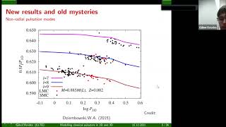Numerical Modelling of Stellar Pulsations in 2D and 3D