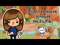 Обзор на новую локацию Wildlife/Новая локация тока бока/Тока бока/Toca boca/Yana Owl 🦉