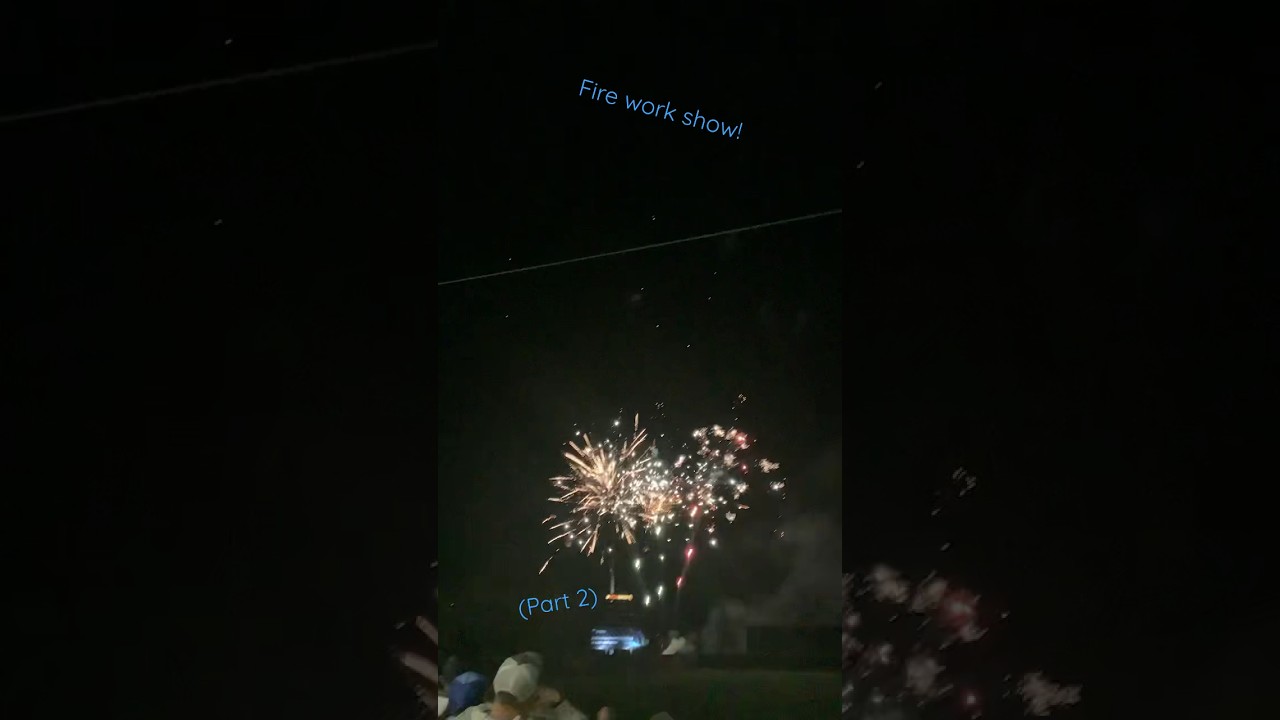 Just celebrating because they won! shorts lol ironbirds baseball 